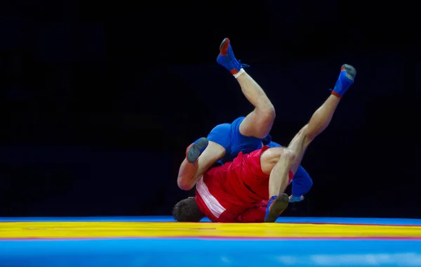 Dva Muži Modrém Červeném Sambo Wrestling Žlutém Wrestling Koberci Tělocvičně — Stock fotografie