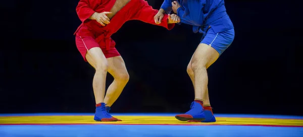 Два Чоловіки Синьо Червоному Самбо Реслінгу Жовтому Килимі Спортзалі — стокове фото
