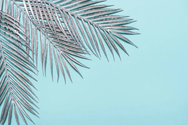 Пограничная Рамка Серебра Тропические Пальмовые Листья Голубом Пастельном Фоне — стоковое фото