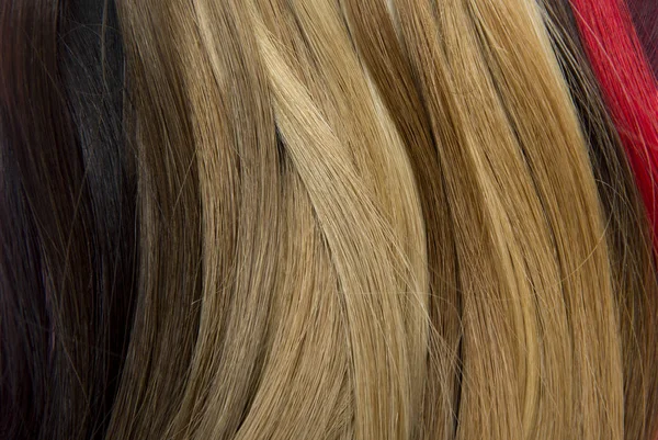 Κάτοψη Των Πολύχρωμων Μαλλιών Χρώματα Μόδας Για Χρώμα Των Μαλλιών — Φωτογραφία Αρχείου