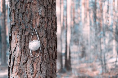Ormandaki bir ağaç dalına beyaz bir maske asılmış. Yakın plan. Covid-19 krizi sırasında yüz maskesi yetersizliğinden. Corona virüsü karantina altında. 