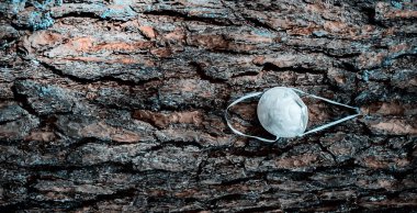 Ormandaki bir ağaç dalına beyaz bir maske asılmış. Yakın plan. Covid-19 krizi sırasında yüz maskesi yetersizliğinden. Corona virüsü karantina altında. 