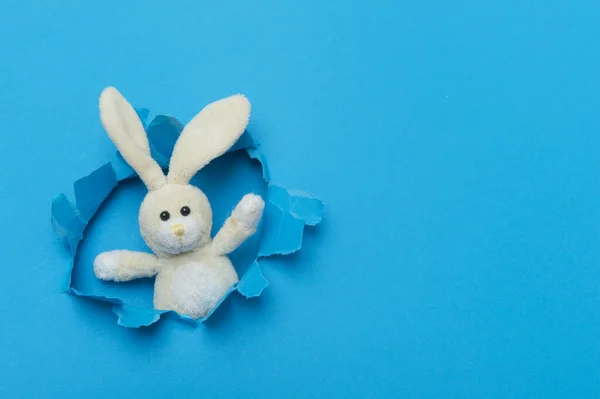 Toy Bunny In Paper cut hole. World Autism Awareness