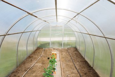 Bitkilerin ekilmesi için hazırlanmış boş sera