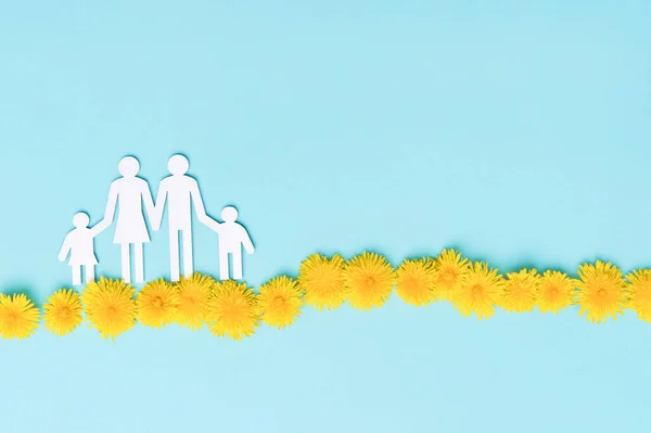 Dandelion flowers and family shape on blue background top view