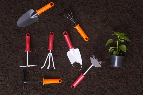 Garden Tools Soil Background Planting Concept Working Spring Garden — Stock Photo, Image