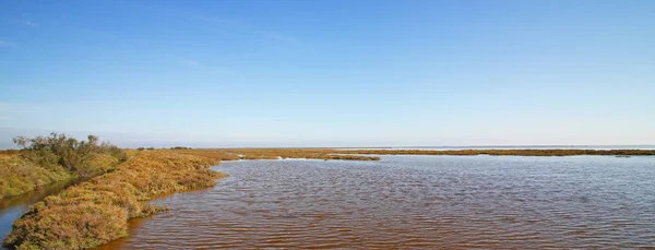 Panorama Wody Camargue Francja — Zdjęcie stockowe