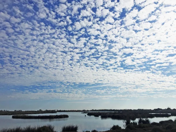 Moln Mellannivå Eller Alto Moln Camargue Våtmarkerna — Stockfoto