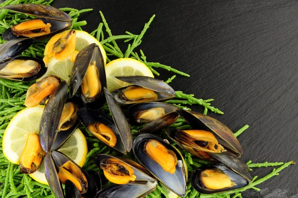 Mejillones recién cocidos y Samphire —  Fotos de Stock