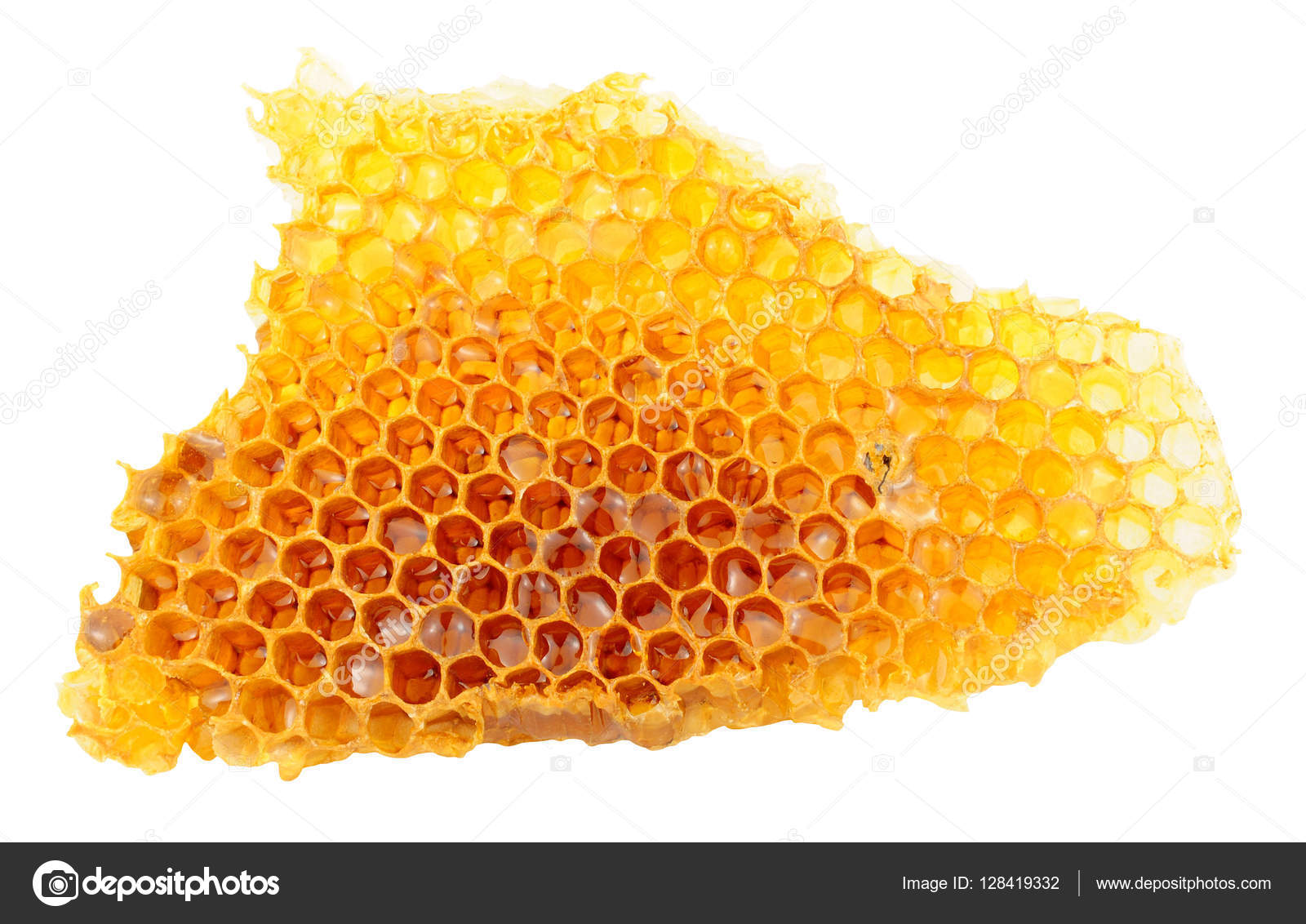Honey Bee Wax Honeycomb Stock Illustration by ©philkinsey #128419332