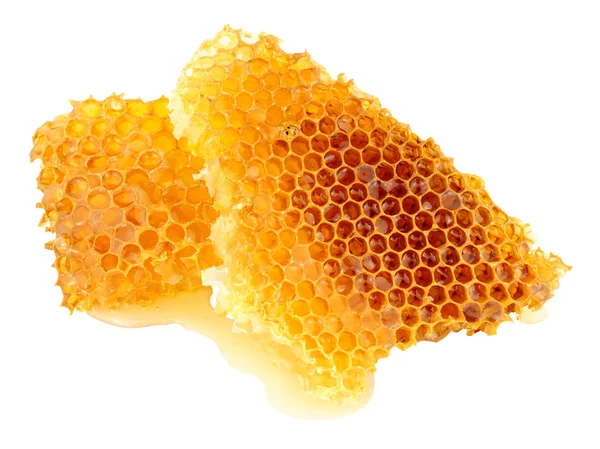 Med včelí vosk Honeycomb — Stock fotografie