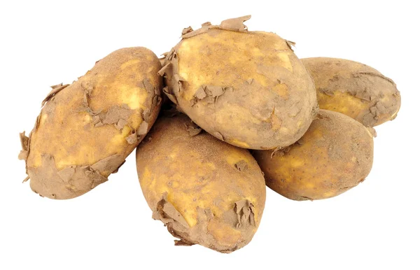 Schmutzige ungewaschene neue Kartoffeln — Stockfoto