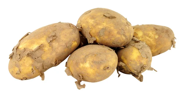 Dirty Unwashed New Potatoes — Stock Photo, Image