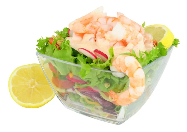 Fresh Prawn Salad — Stock Photo, Image
