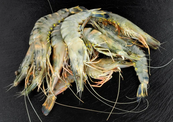 Raw Black King Tiger Prawns