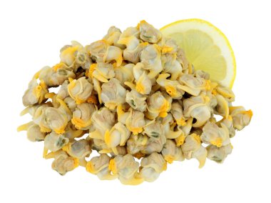 Beyaz bir zemin üzerinde izole edilmiş kabuklu deniz hayvanı eti yığını.