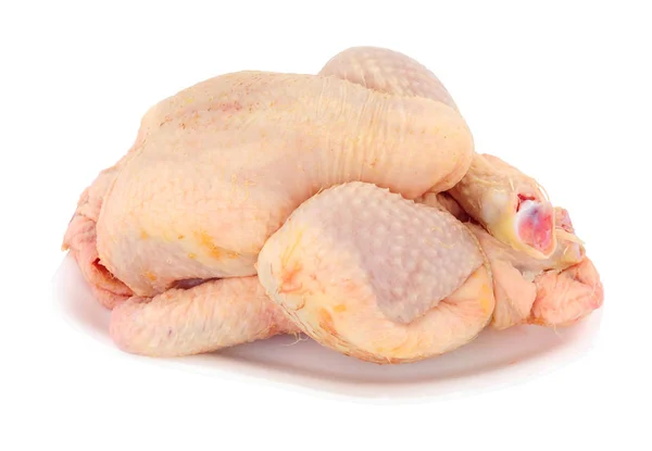 Pousssin Cru Fresco Frango Vezes Chamado Frango Primavera Isolado Fundo — Fotografia de Stock