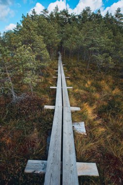 Viru bataklığı, Lahemaa Ulusal Parkı, Estonya