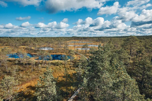 Paisaje alrededor del pantano de Viru, Parque Nacional Lahemaa, Estonia — Foto de Stock