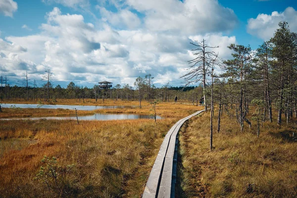 Paisaje alrededor del pantano de Viru, Parque Nacional Lahemaa, Estonia — Foto de Stock