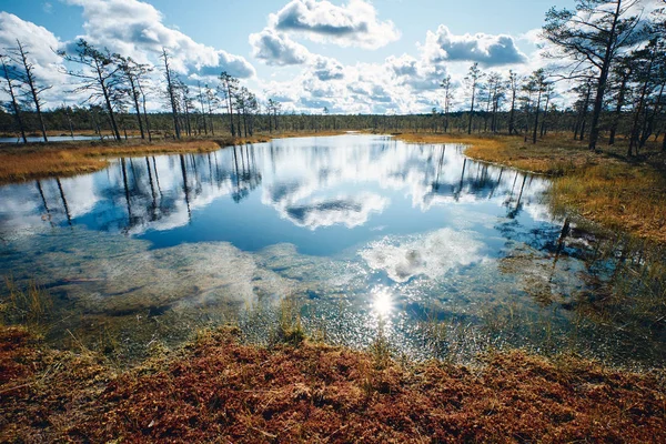 Paisaje alrededor del pantano de Viru, Parque Nacional Lahemaa, Estonia — Foto de Stock