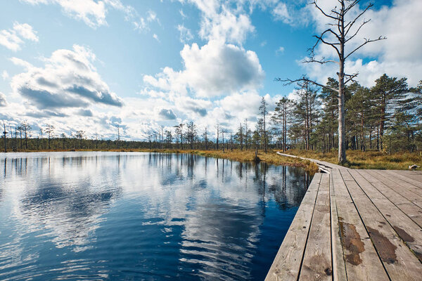The Landscape around Viru bog, Lahemaa National Park, Estonia