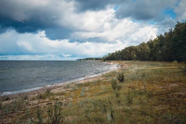 Balti-tenger és part, Észtország — Stock Fotó