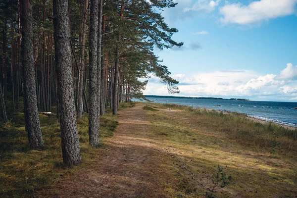 Morze Bałtyckie i wybrzeże, Estonia — Zdjęcie stockowe