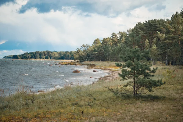 Morze Bałtyckie i wybrzeże, Estonia — Zdjęcie stockowe