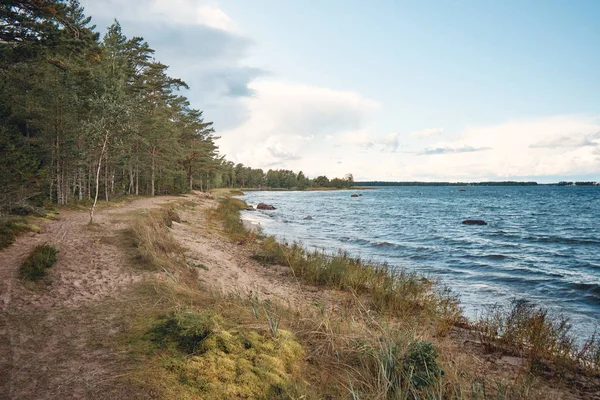 Morze Bałtyckie i wybrzeże, Estonia — Zdjęcie stockowe