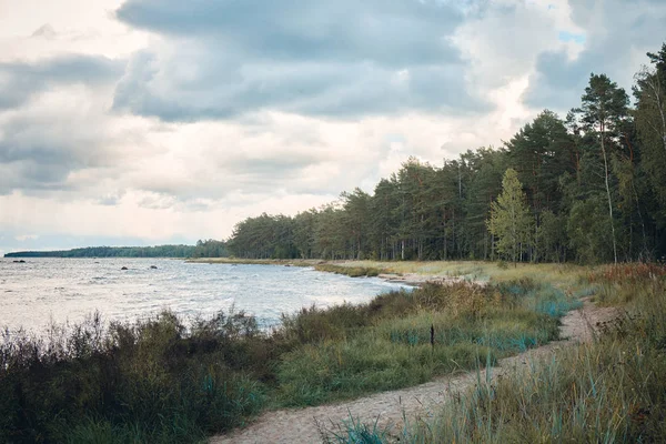Mar Báltico y costa, Estonia — Foto de Stock