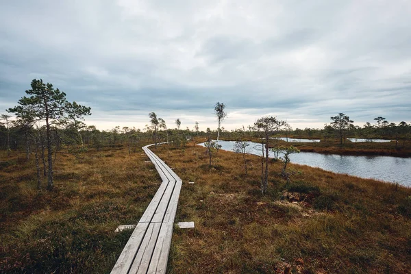 El paisaje alrededor del Gran Sendero del Pantano del Parque Nacional Kemeri, Letonia — Foto de Stock