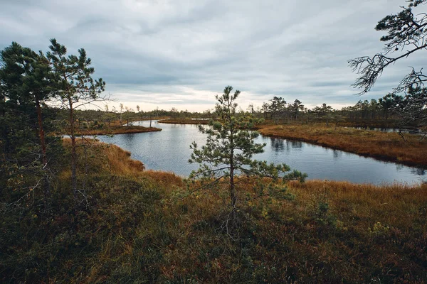 Krajobraz wokół Wielkiego Szlaku Bagiennego Parku Narodowego Kemeri, Łotwa — Zdjęcie stockowe