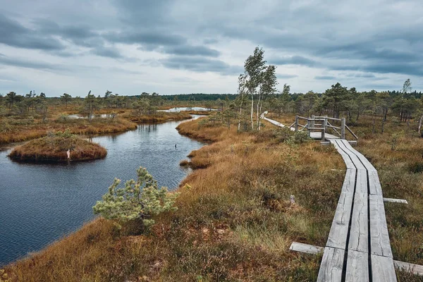 The Landscape Around The Great Bog Trail of Kemeri National Park, Letónia — Fotografia de Stock