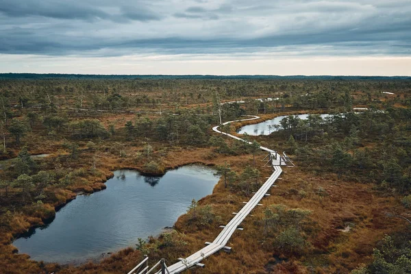 El paisaje alrededor del Gran Sendero del Pantano del Parque Nacional Kemeri, Letonia — Foto de Stock