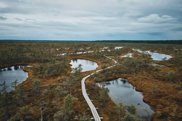 The Landscape Around the Great Bog Trail of Kemeri National Park, Латвія — стокове фото