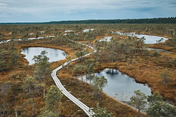 El paisaje alrededor del Gran Sendero del Pantano del Parque Nacional Kemeri, Letonia — Foto de Stock