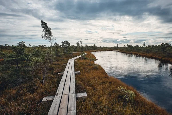 El paisaje alrededor del Gran Sendero del Pantano del Parque Nacional Kemeri, Letonia — Foto de Stock