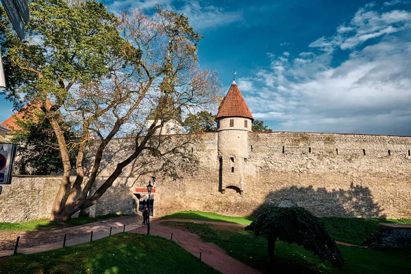 Mur i wieże miasta Tallin, Estonia — Zdjęcie stockowe