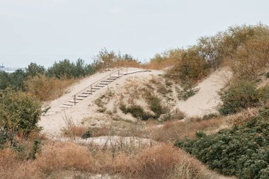 Parnidis Dune in Nida, Lituania clipart