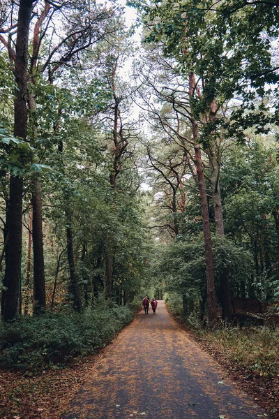 A Trail to Smiltyne Beach, Klaipeda, Litouwen — Stockfoto