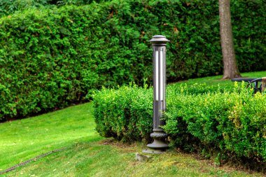 Demir fener, yeşil yaprak döken çalıların ve yeşil çimlerin olduğu bir parkta, bir yaz günü bir yamaçta büyüyen..