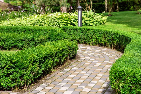 Stone Tile Path Park Hedge Evergreen Deciduous Shrubs Iron Lantern — Stock Photo, Image