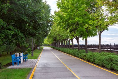 Asfalt yolu ve sarı işaretli parklar bisiklet ve yayalar için yol boyunca sıra sıra büyüyen ağaçlar ve dinlenmek için ahşap banklar, hiç kimse.