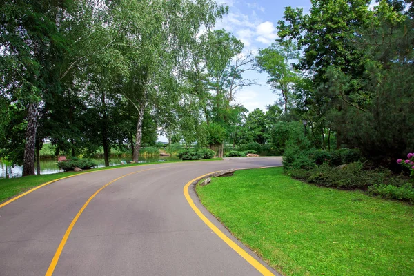 Asphalt Road Yellow Markings Leaving Turn Park Green Lawn Trees — Stock Photo, Image