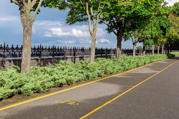 Asphalt Bike Path Yellow Markings Bicycle Symbol Park Bushes Trees — Stock Photo, Image