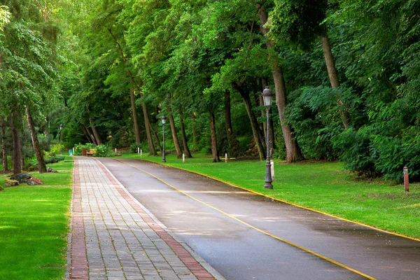 Asphalt Bike Path Yellow Markings Pedestrian Sidewalk Made Stone Tiles — Stock Photo, Image