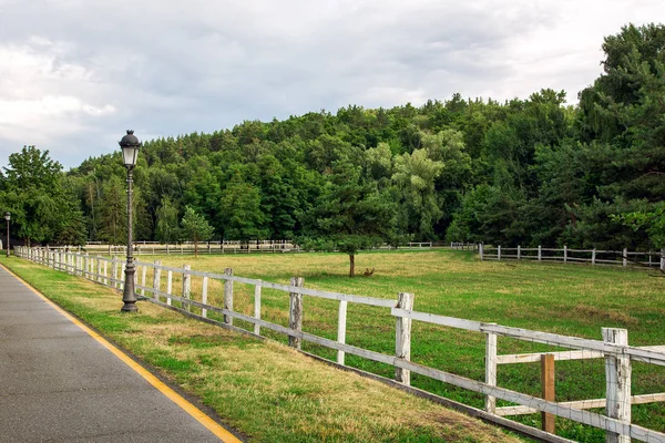 asphalt road with yellow markings on the side of the road iron lantern and a wooden fence a barrier for pasture with grass and trees, nobody.