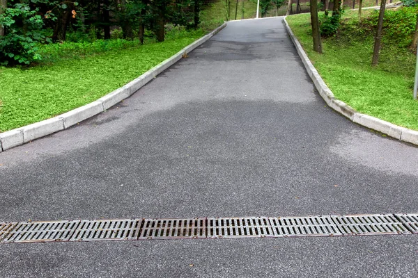 iron grid drainage system on an asphalt road on the park with a green grass and a tree, nobody.