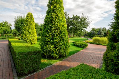 Güneşli yaz gününde gökyüzünde bulutları olan bitkilerin arasında yürümek için dolambaçlı kaldırımlı kaldırımları olan boxwood çitli bir park ve sonsuz yeşil bir thuja..